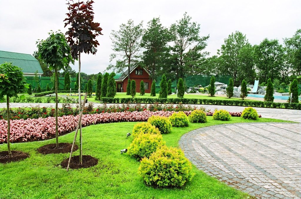Частный сад в п. Ленинское, г. Санкт-Петербург - изображение 9